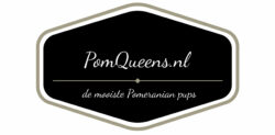 Pomqueens | Pomerianen te koop | Mooiste pomerianen | Pomeriaan kopen | Pomerianen te koop | Dierenwinkel | Dierenbenodigdheden | Dutch Pom | Pomeranian Residence | Pomeriaan kopen | Pomeriaan | Pomeranian | Raszuivere pomeriaan | Erkende fokkers | Pom | Beertje | Boo | Stamboom | FCI | Dierenbenodigdheden | Dierenwinkel | Hond | Uitlaatservice | Zoetermeer | Hondenmand | Puppy